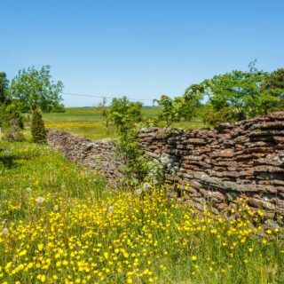 أين تقع مدينة غابالا وما هي أهم المعالم بها؟